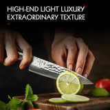 HEZHEN 5" Utility Knife – 73-Layer Powder Damascus Steel Ultra-Sharp Kitchen Knife