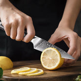 TURWHO 3.5-Inch Paring Knife – 67-Layer Damascus Steel Fruit & Utility Knife with G10 Handle