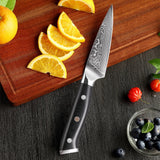 TURWHO 3.5-Inch Paring Knife – 67-Layer Damascus Steel Fruit & Utility Knife with G10 Handle