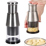 Stainless Steel Garlic Chopper β Manual Press Garlic Crusher & Vegetable Slicer