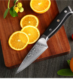TURWHO 3.5-Inch Paring Knife – 67-Layer Damascus Steel Fruit & Utility Knife with G10 Handle