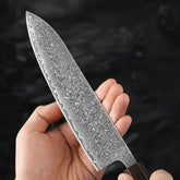 8 Inch Damascus Steel Chef Knife – Professional Kitchen Knife with Ebony Solid Wood Handle