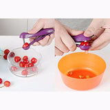 Cherry & Olive Pit Remover Stainless Steel Seed Removal Kitchen Tool