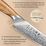 HEZHEN Flagship Series 5" Steak Knife – 73-Layer Damascus Powdered Steel Japanese Style Knife