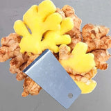 Universal Peeler Tool – Ginger, Garlic, Potato & Yam Vegetable Scraper