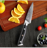 TURWHO 3.5-Inch Paring Knife – 67-Layer Damascus Steel Fruit & Utility Knife with G10 Handle