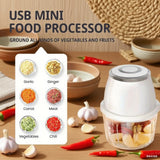 TINSOL 350ML Electric Meat Grinder & Food Chopper – USB Multi-Function Garlic Masher and Vegetable Slicer