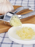 Stainless Steel Garlic Press & Crusher – Easy Clean Garlic Masher, Ginger Juicer & Kitchen Tool