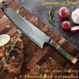 8" Professional Chef Knife – 67-Layer VG10 Damascus Steel with Stabilized Colored Wood Handle